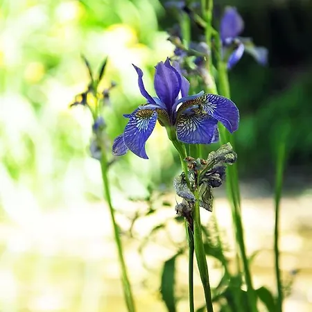 Coup De Coeur Entree Flexible Autonome Et Libre Apartment