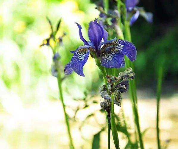 Coup De Coeur Entree Flexible Autonome Et Libre Apartment